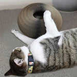 Laden Sie das Bild in den Galerie-Viewer, Magic Lounge | Faltbarer Liegeplatz inkl. Spielball - MegaCat
