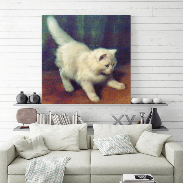 Fine Art | Junge Angorakatze | Kunstdruck auf Leinwand - MegaCat