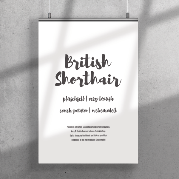 British Shorthair | Premium Poster - MegaCat