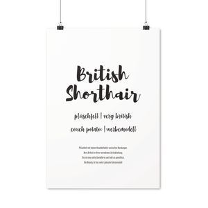 British Shorthair | Premium Poster - MegaCat