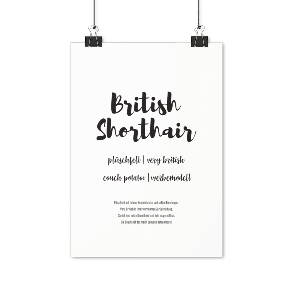 British Shorthair | Premium Poster - MegaCat