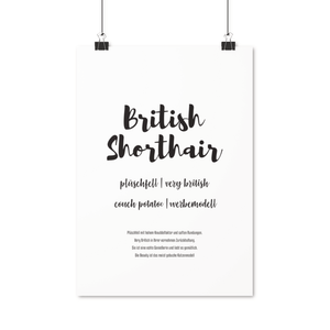 British Shorthair | Premium Poster - MegaCat