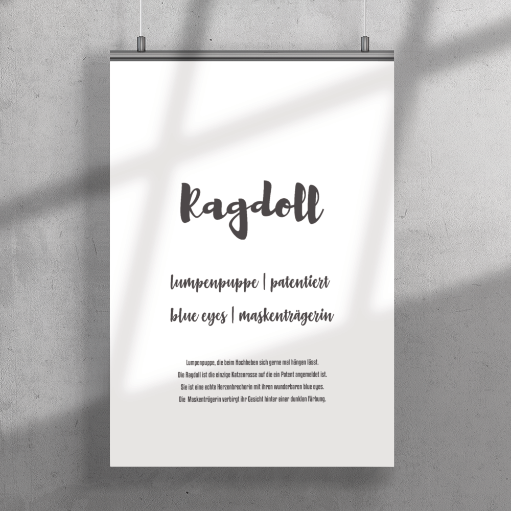 Ragdoll | Premium Poster - MegaCat