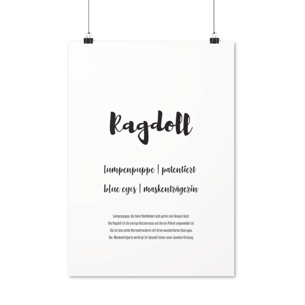 Ragdoll | Premium Poster - MegaCat