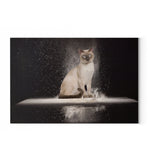 Load image into Gallery viewer, La Diva Cat | Wandbild | Art Edition - MegaCat
