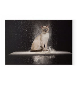 La Diva Cat | Wandbild | Art Edition - MegaCat